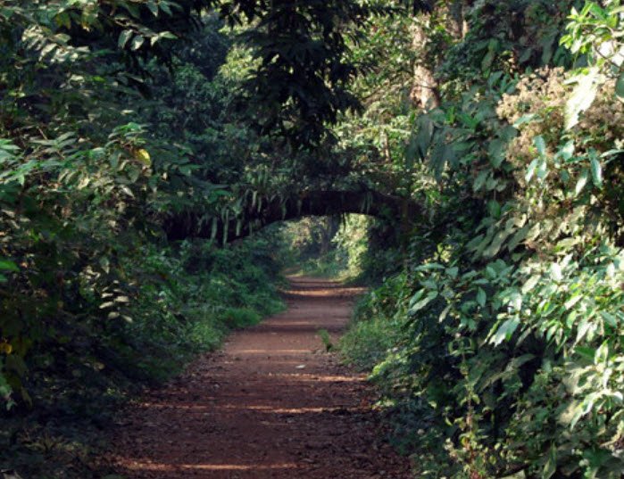 Chintamoni Kar Sangrahalay, South 24 Parganas, West Bengal - Vushii.com